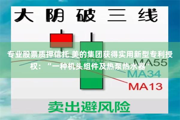 专业股票质押信托 美的集团获得实用新型专利授权：“一种机头组件及热泵热水器”