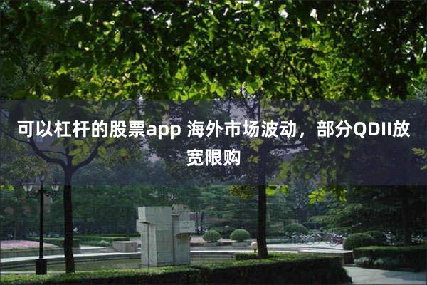 可以杠杆的股票app 海外市场波动，部分QDII放宽限购