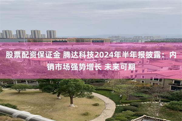 股票配资保证金 腾达科技2024年半年报披露：内销市场强势增长 未来可期