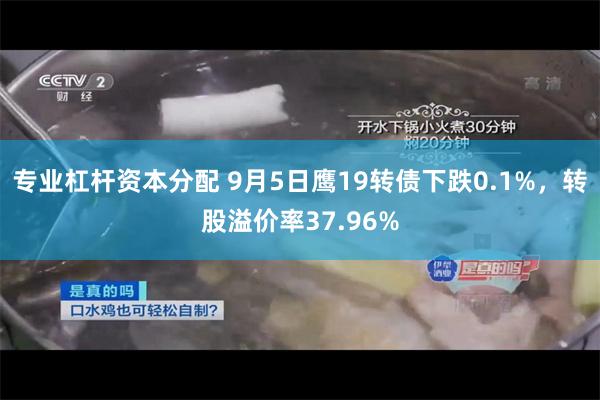 专业杠杆资本分配 9月5日鹰19转债下跌0.1%，转股溢价率37.96%