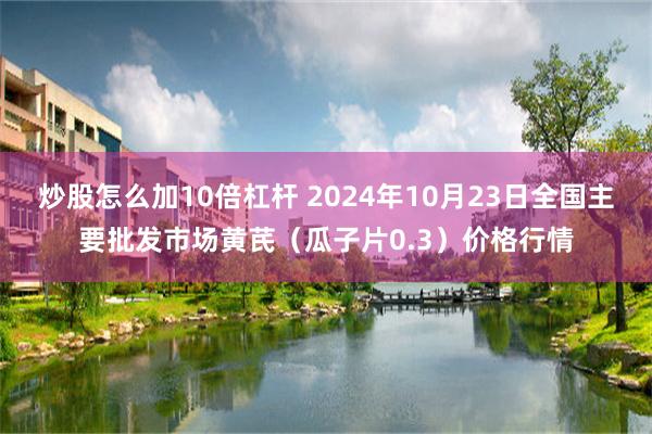 炒股怎么加10倍杠杆 2024年10月23日全国主要批发市场黄芪（瓜子片0.3）价格行情