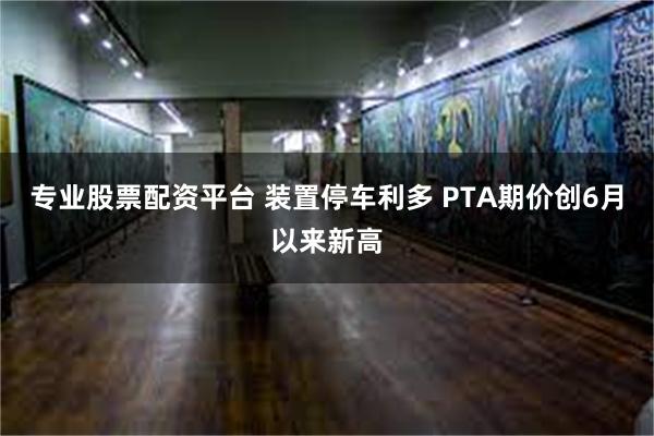 专业股票配资平台 装置停车利多 PTA期价创6月以来新高