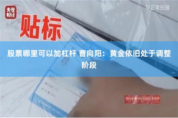 股票哪里可以加杠杆 曹向阳：黄金依旧处于调整阶段