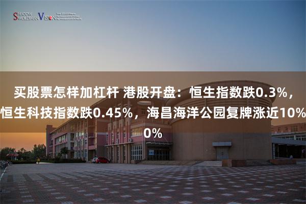 买股票怎样加杠杆 港股开盘：恒生指数跌0.3%，恒生科技指数跌0.45%，海昌海洋公园复牌涨近10%