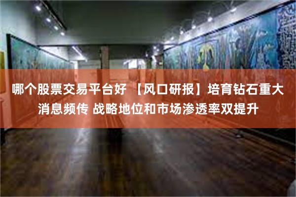 哪个股票交易平台好 【风口研报】培育钻石重大消息频传 战略地位和市场渗透率双提升