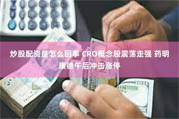 炒股配资是怎么回事 CRO概念股震荡走强 药明康德午后冲击涨停