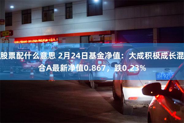 股票配什么意思 2月24日基金净值：大成积极成长混合A最新净值0.867，跌0.23%