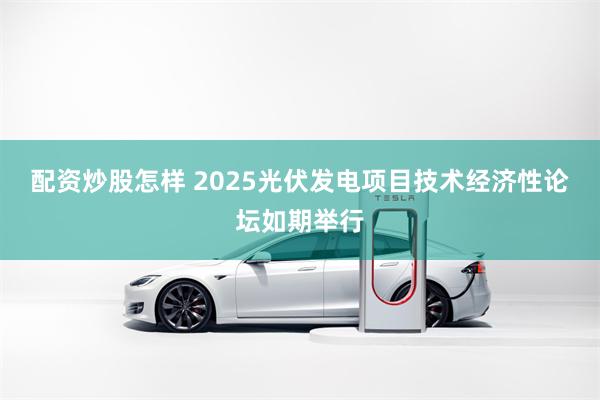 配资炒股怎样 2025光伏发电项目技术经济性论坛如期举行