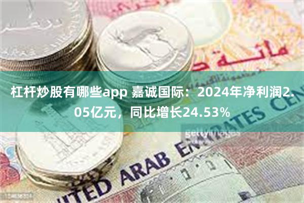 杠杆炒股有哪些app 嘉诚国际：2024年净利润2.05亿元，同比增长24.53%