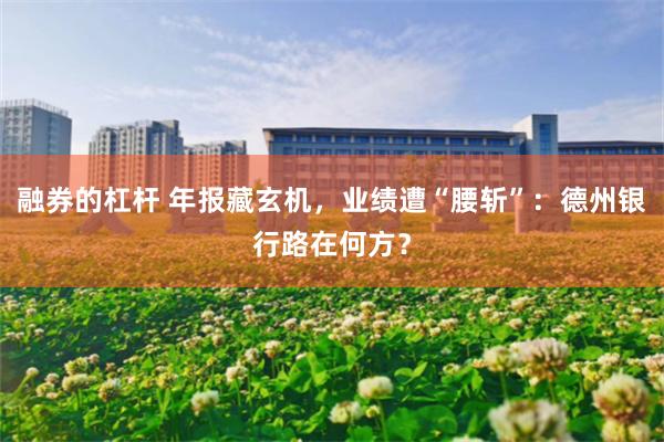 融券的杠杆 年报藏玄机，业绩遭“腰斩”：德州银行路在何方？