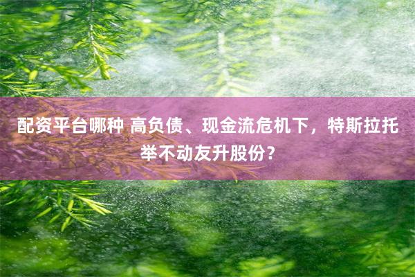 配资平台哪种 高负债、现金流危机下，特斯拉托举不动友升股份？